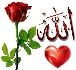 Дамира Kabulova