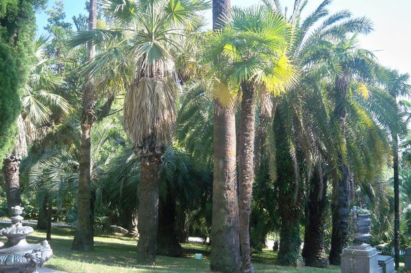 Марина Гаврисенко