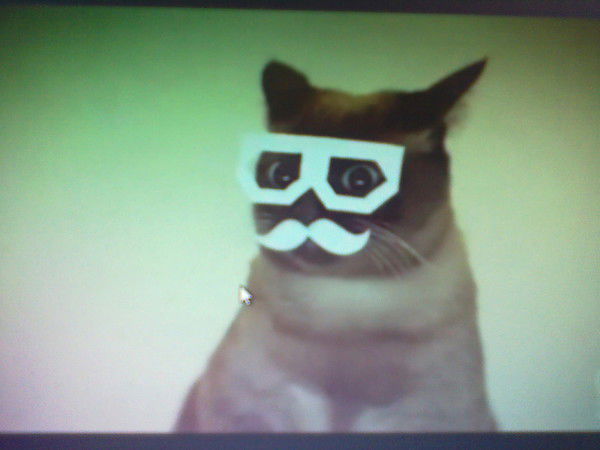 Сергей Слепцов