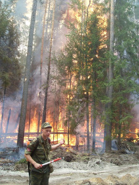 Виталий Максимов