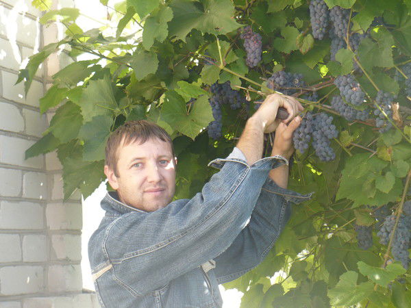 Олег Вирясов