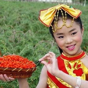 Годжи Atana - Pavlodar