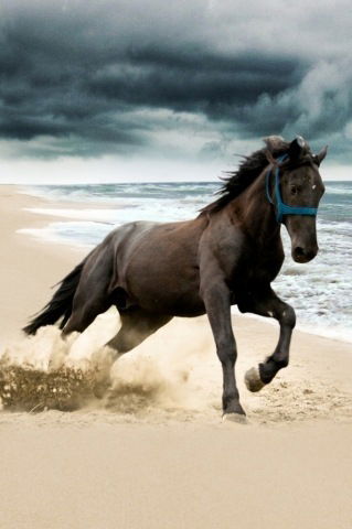 Султан Бегимкулов