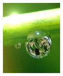 Наталья Якубенко