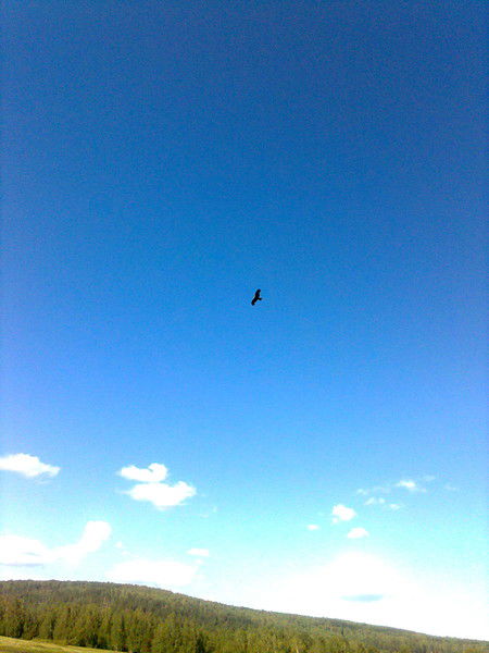 Любовь Корчагина