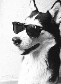 Артём Новопашин