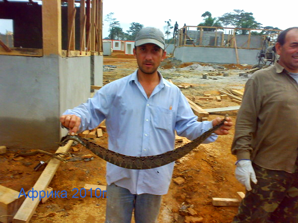 Роман Гарванко