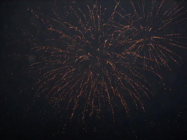 Алина Белова