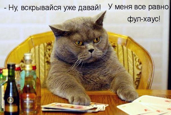 Вова Алейников