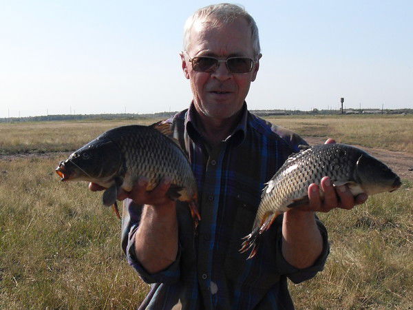 Алексей Гервальд