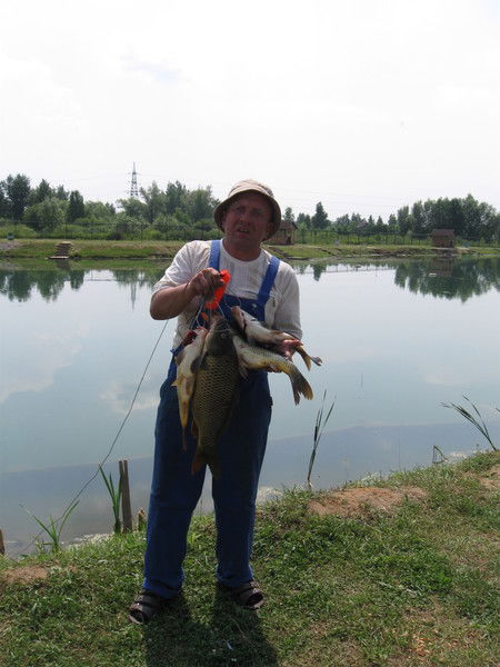 Александр Гольманов