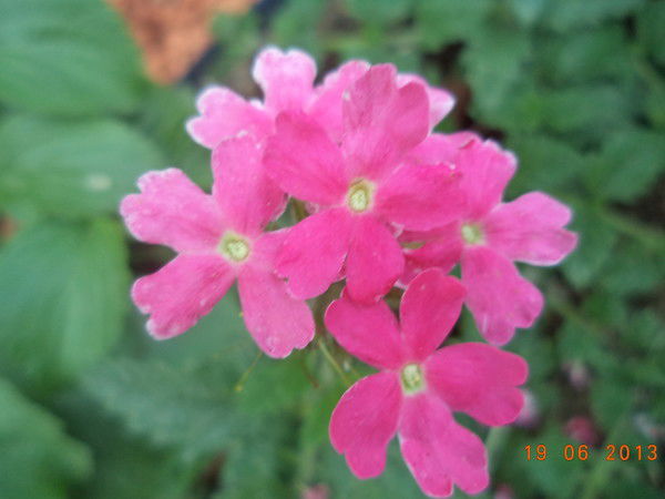 Лидия Тощева