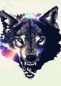 Анастасия Черкасова