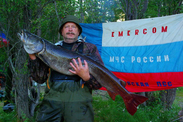 Евгений Логинов