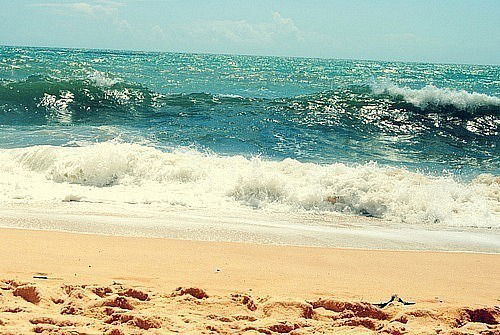 Анна Замыцкая