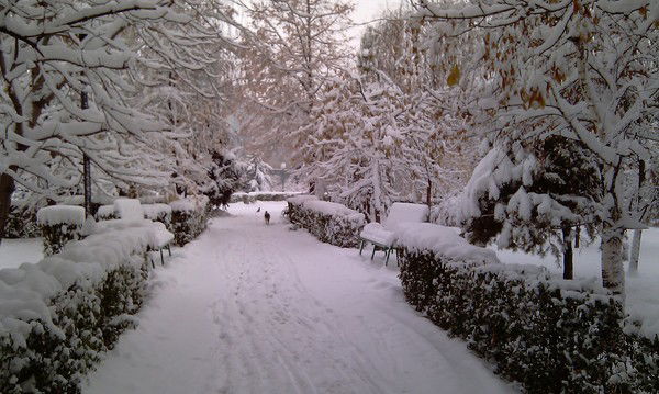 Саша Корнилова