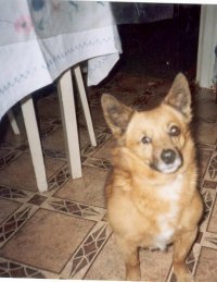 Оксана Короленко