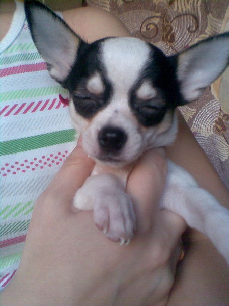 Галина Чуракова(Балашова)