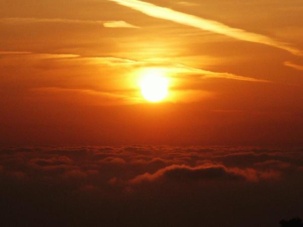 Ирина Ракитина