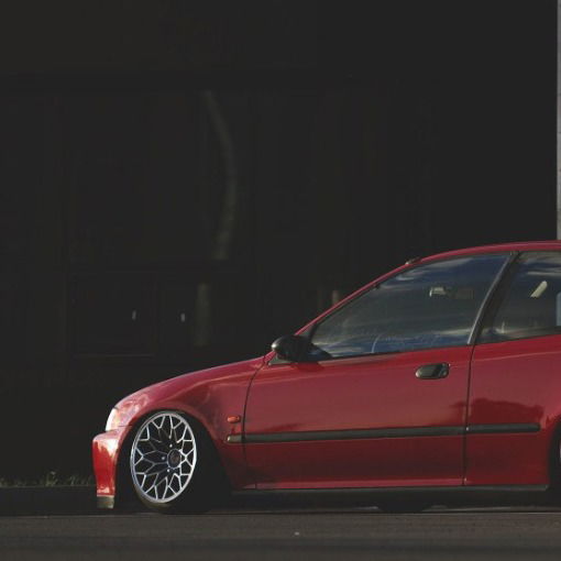 Дмитрий Некрасов