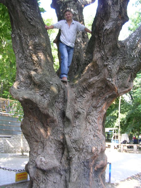 Александр Шкаруба