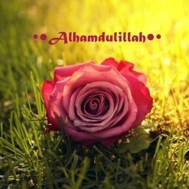 Найля Култаева