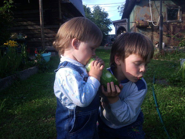 Оля Агиевич