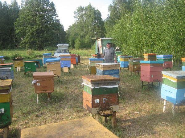 Юрий Носков