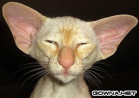 Valery !!!!!!!!!!!!!!!!