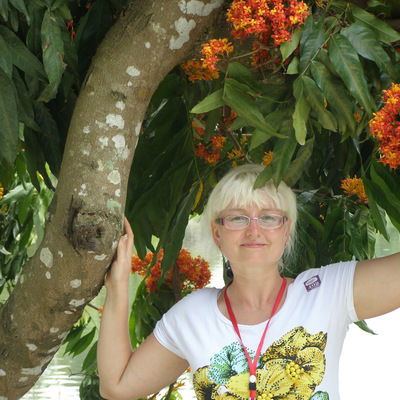 Анна Сибринина