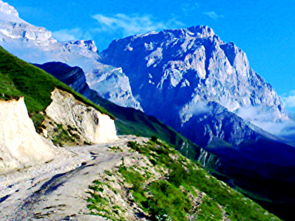 Александр Гасанов