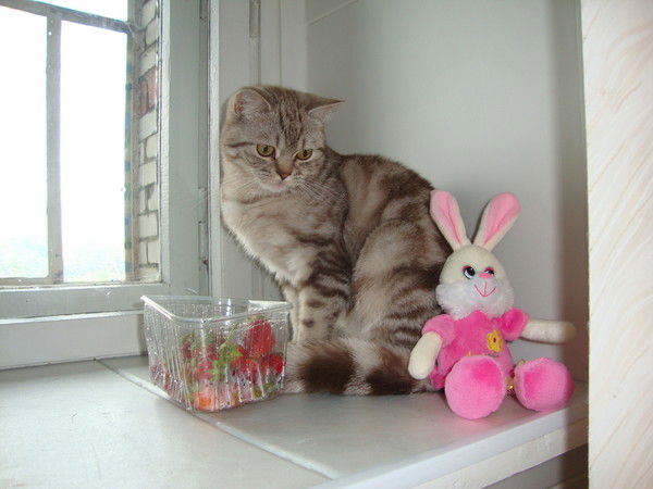 @поляшенька@ :*)