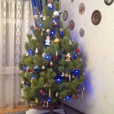 Вова Кузнецов