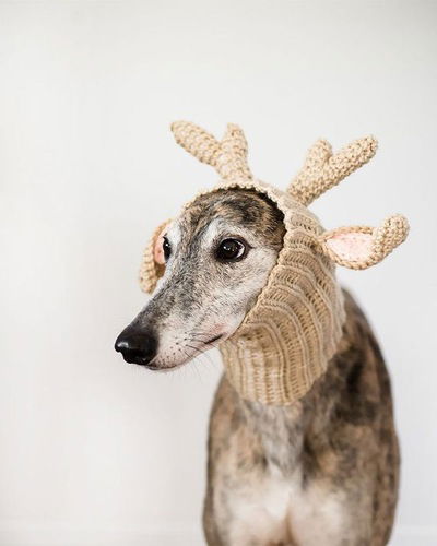 Данил Богданов