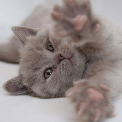 Алена Терентьева