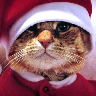 Александр Шульмин