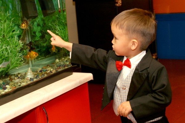 Салтанат Утегенова