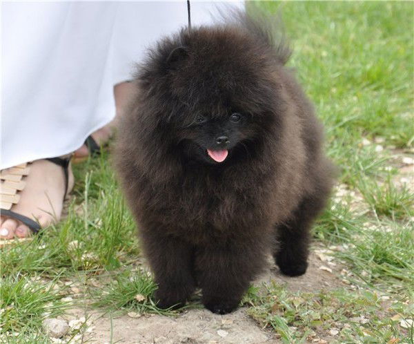 Аня Горячева