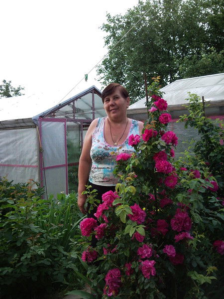 Надежда Кашина