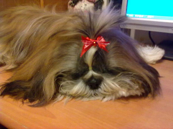 Елена Кирпу