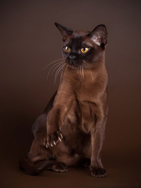 Ольга Смирнова