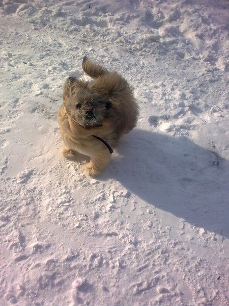 Игорь Жулёв