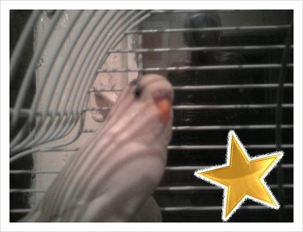 Влад Матроскин