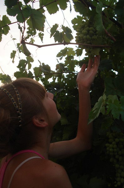 Таня Самарцева