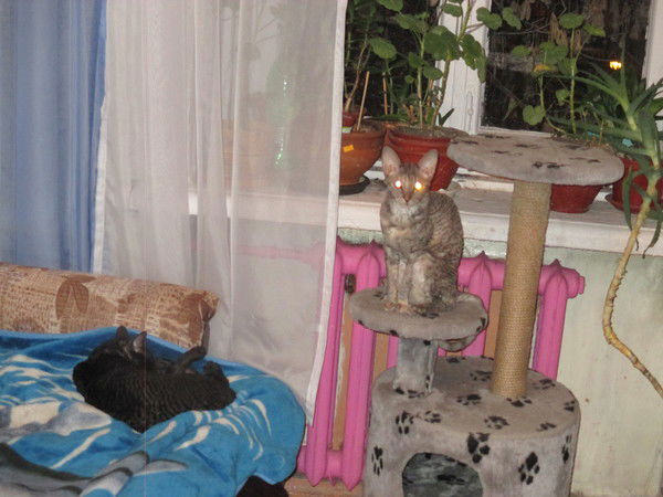 Сергей Сергеев