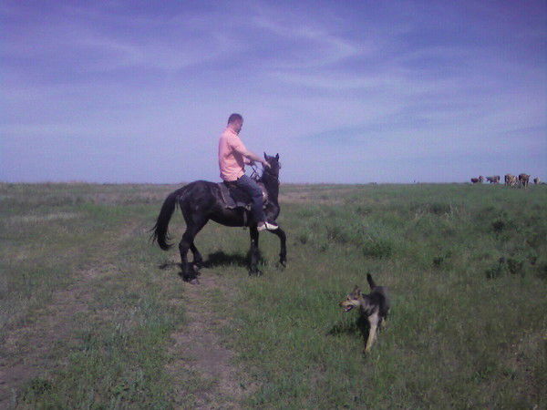 Алексей Козин