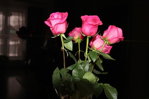 Ольга Афанасьева