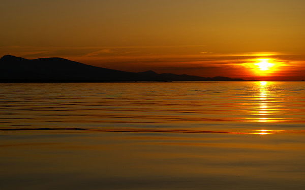 Анюта Микова