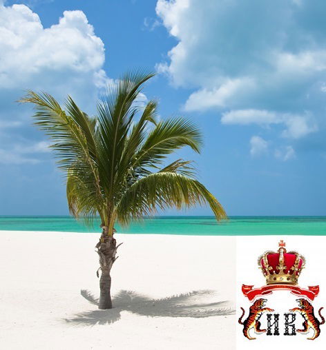 Империалъ - Восток Турфирма