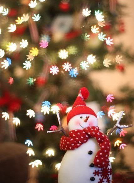 Дарья Ралко